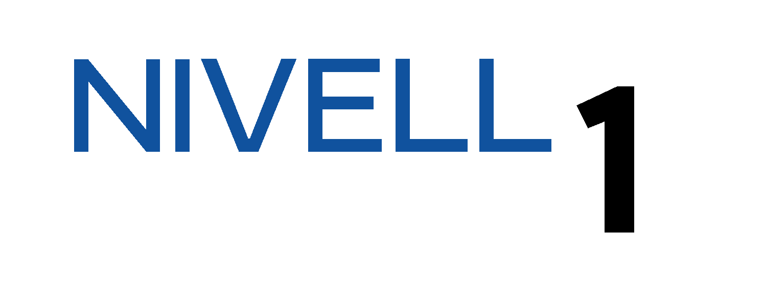 Logo Nivell 1