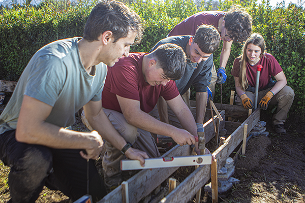 Graus D - Cicles formatius de grau bàsic