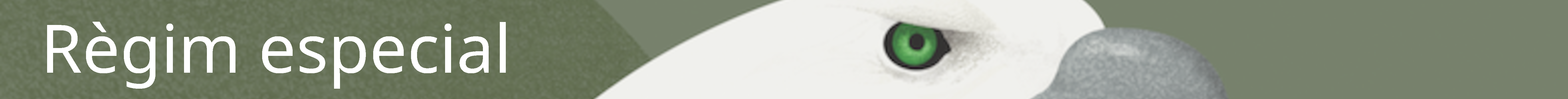 Règim especial
