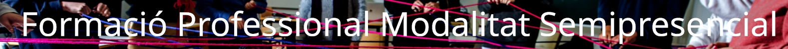 FP Modalitat Semipresencial
