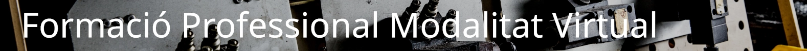 FP Modalitat Virtual