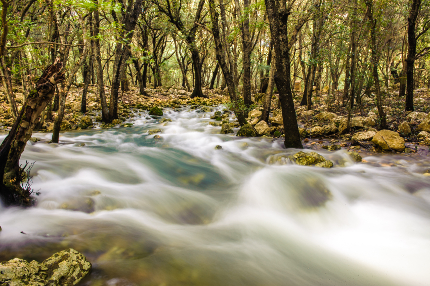 Enhanced exploitation project, in the s'Albufera de Mallorca Natural Park, of the water from the Fonts Ufanes