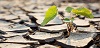 qualitat_ambiental