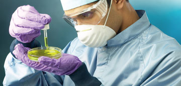 Investigación