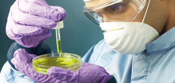 Investigación