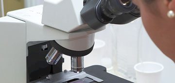 Investigación
