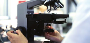 Investigación