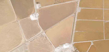 Rusticas Satelital