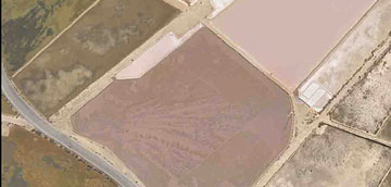 Rusticas Satelital