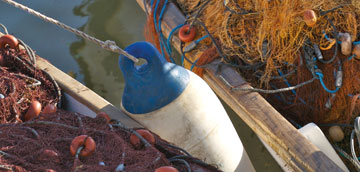 Pesca