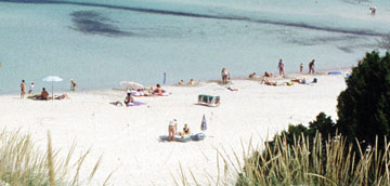 Playa