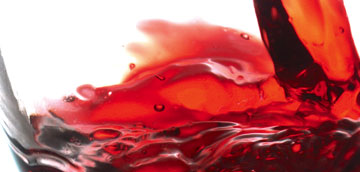 Vino