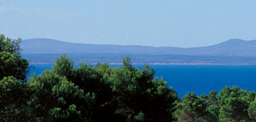 Alcanada