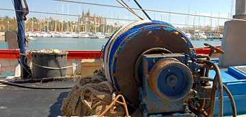 Pesca