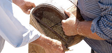 Agricultura