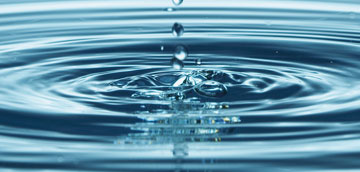 Agua