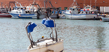 Pesca
