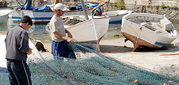 Pesca