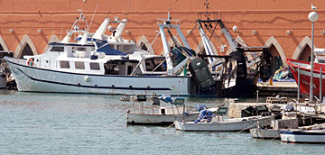 Pesca