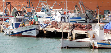 Pesca
