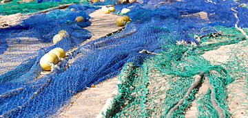 Pesca