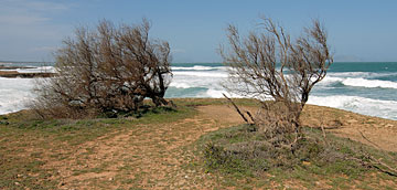 Costa