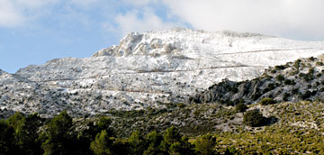 Tramuntana neu