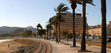 Costa Palma