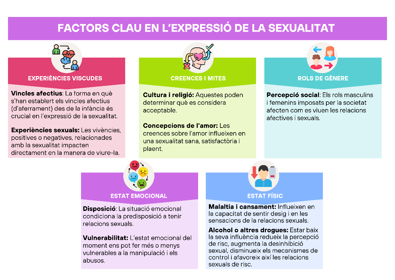 Infografia sobre els factors clau expressió sexualitat